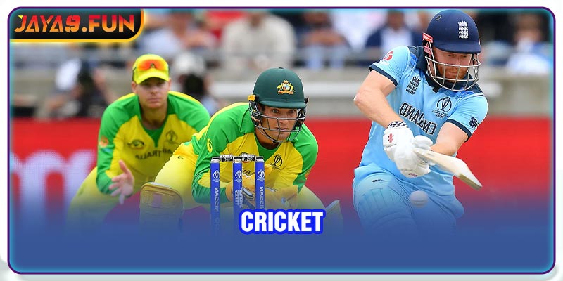 Cricket