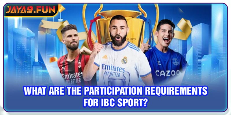 What are the participation requirements for IBC Sport?